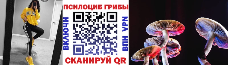 Купить  Любим  Псилоцибиновые грибы GOLDEN TEACHER 